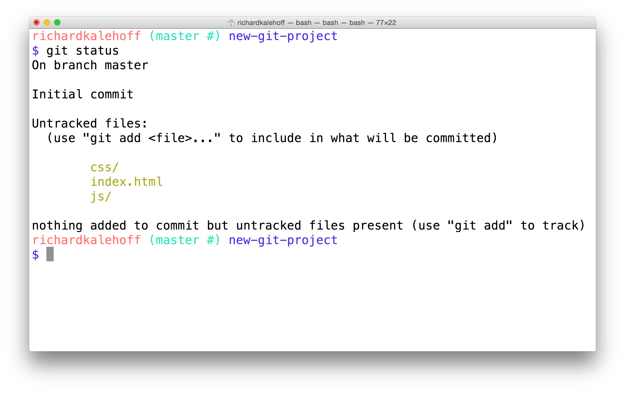 Nothing Added To Commit But Untracked Files Present