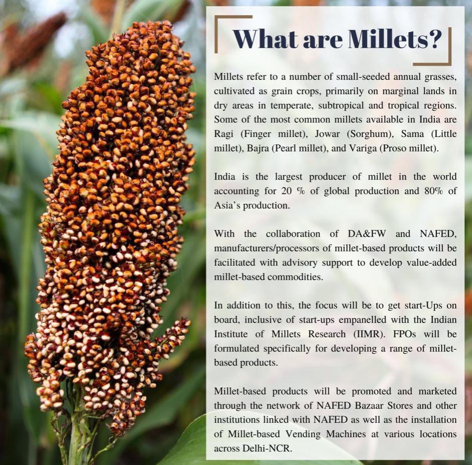 Millets the future of Sustainable Agriculture Civilsdaily