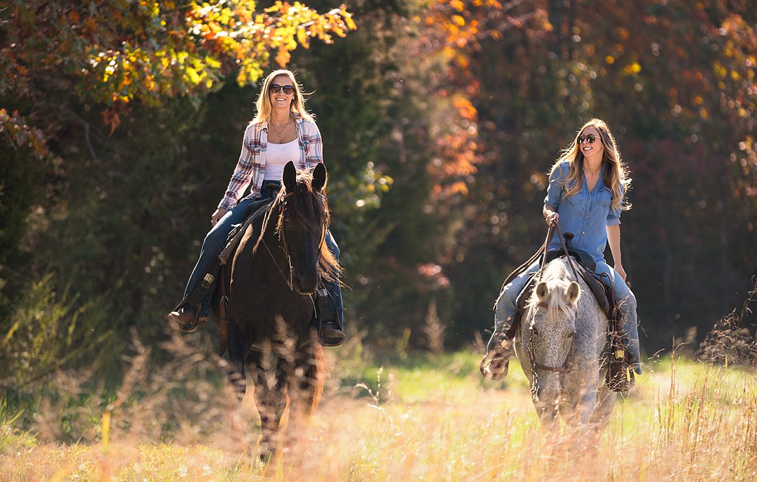 Horseback Riding and Winery with 37 North Expeditions