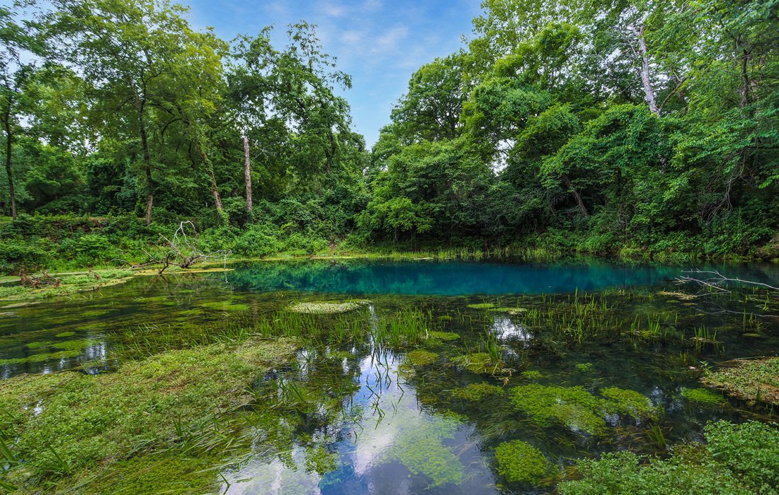 The Best Springs in the Ozarks and Southwest Missouri