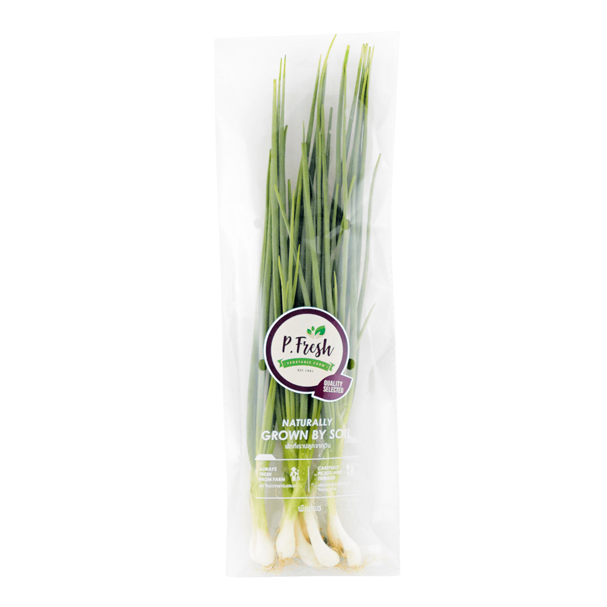 Pf Spring Onion 70g Villa Market