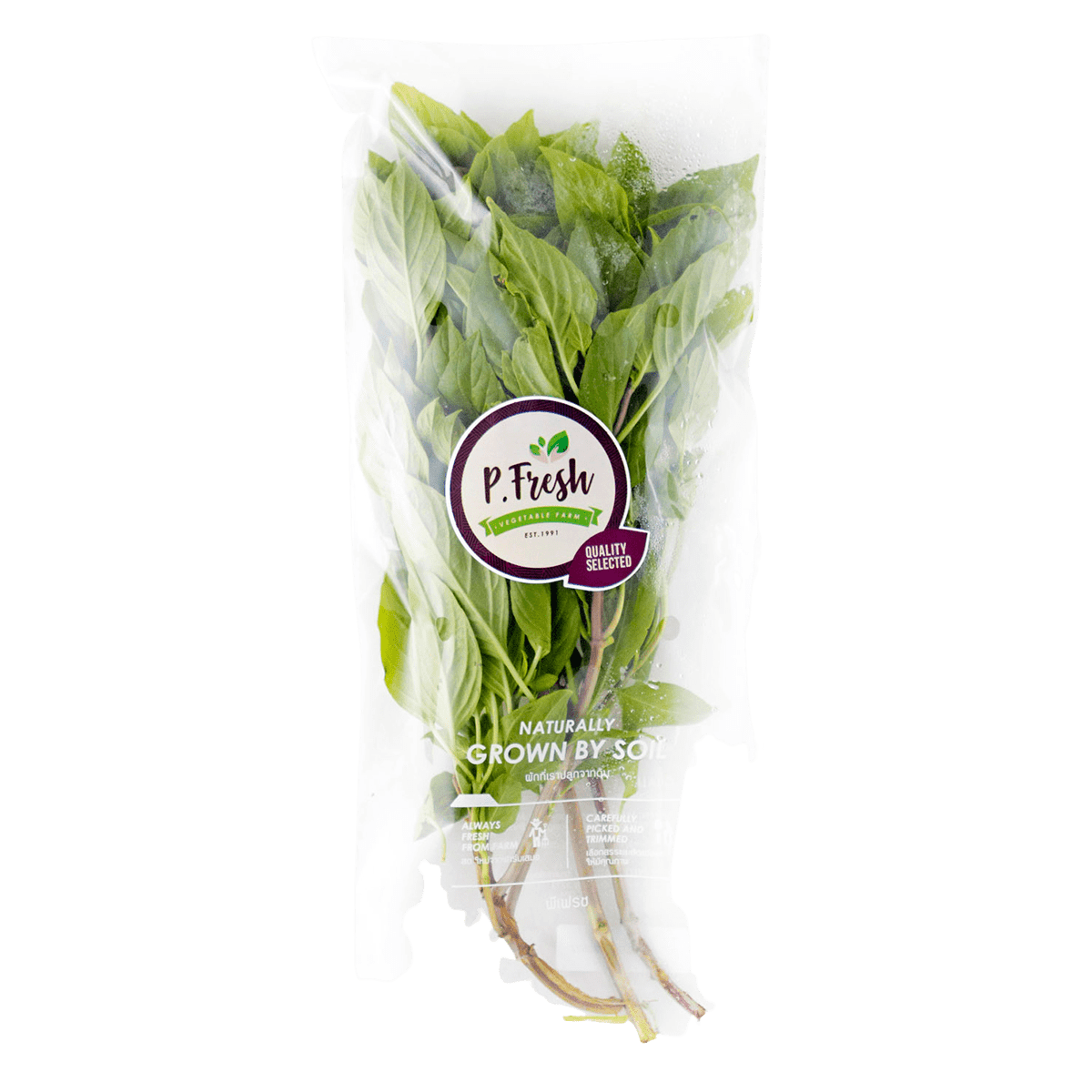 Pf Sweet Basil 60g Villa Market