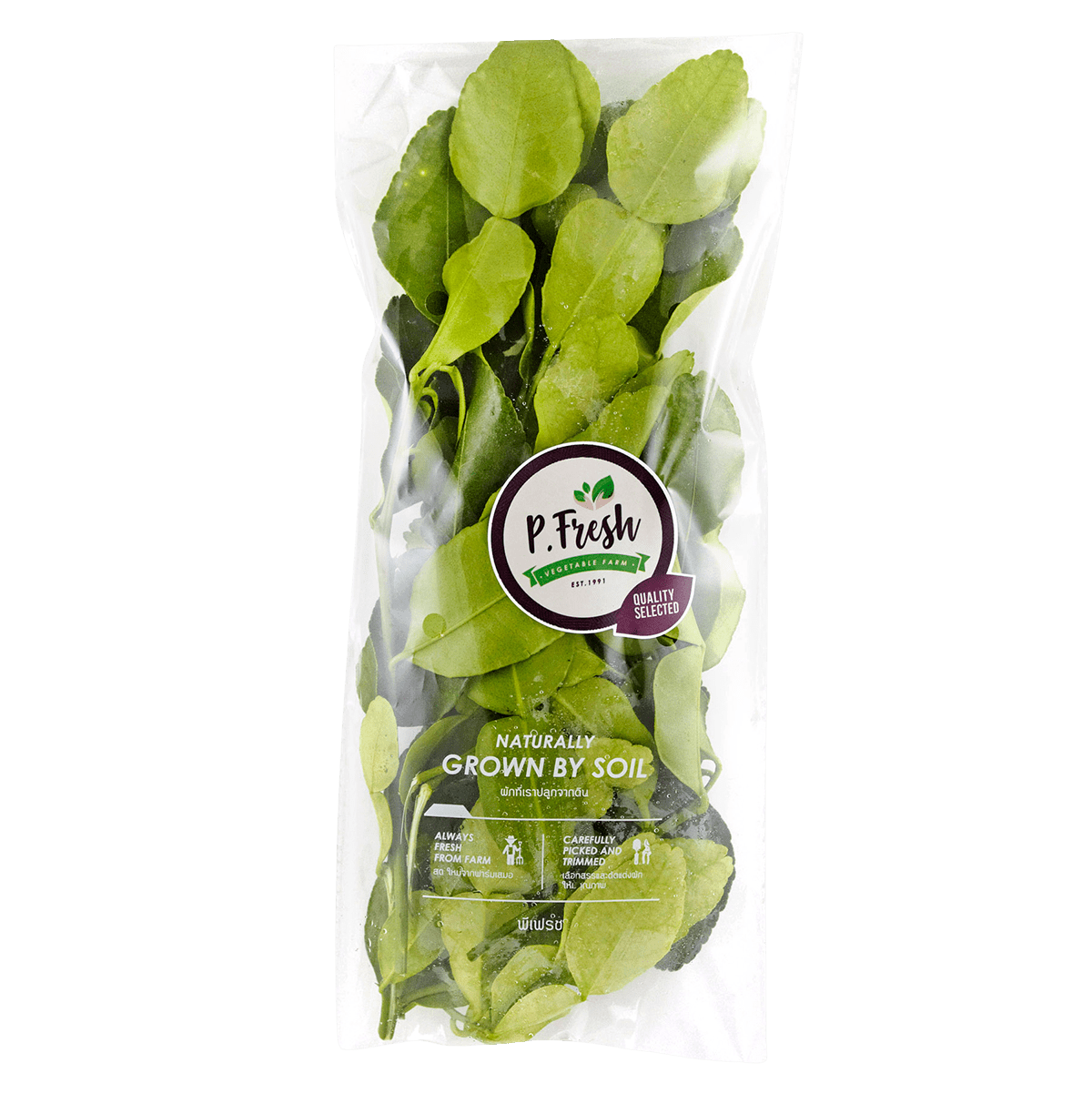 Pf Kaffir Lime Leaves 1Pk Villa Market