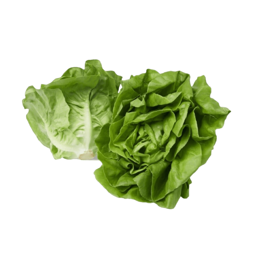 Rim Ping Butterhead Lettuce 150g Villa Market