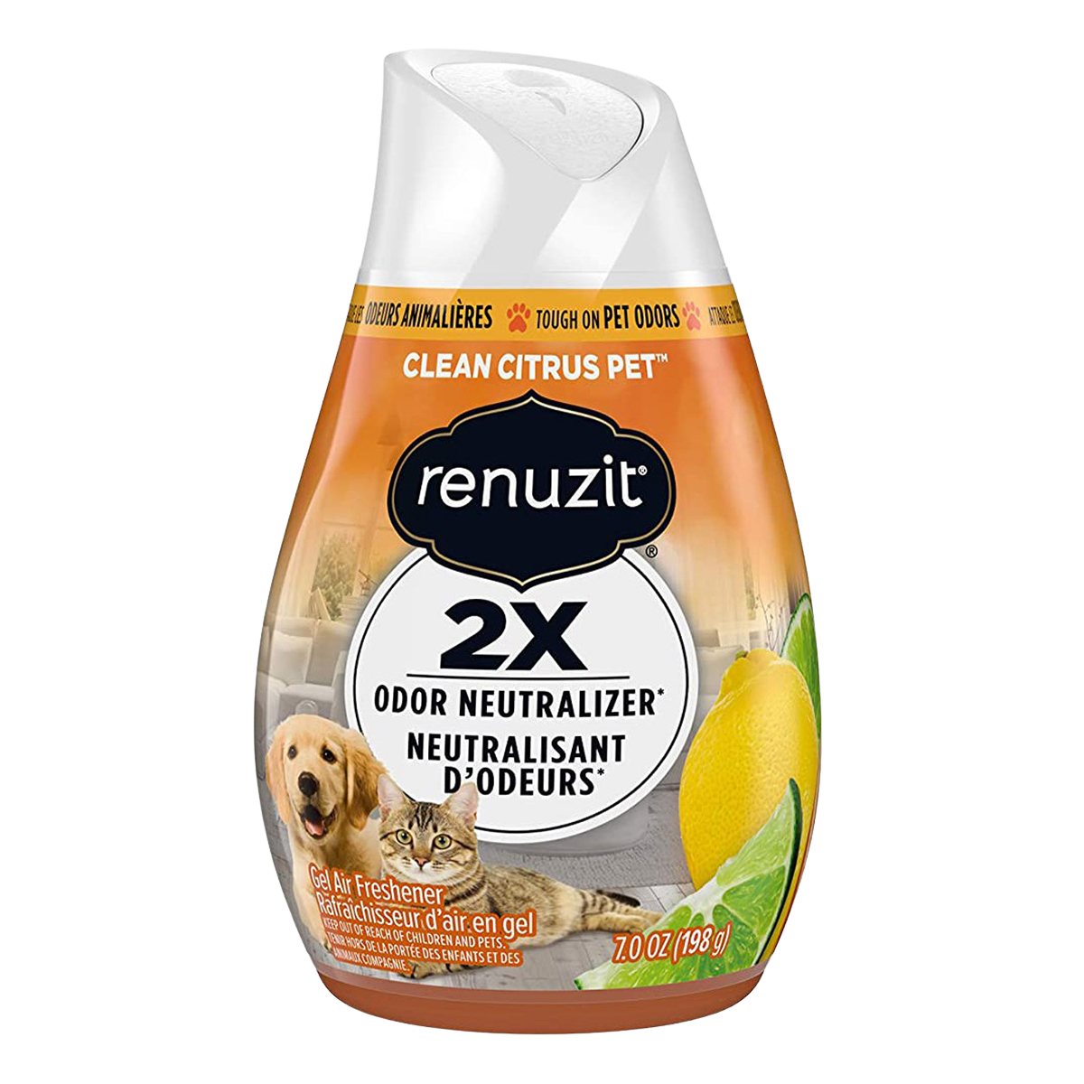 Renuzit Clean Citrus Air Refreshener Gel 1Pc Villa Market