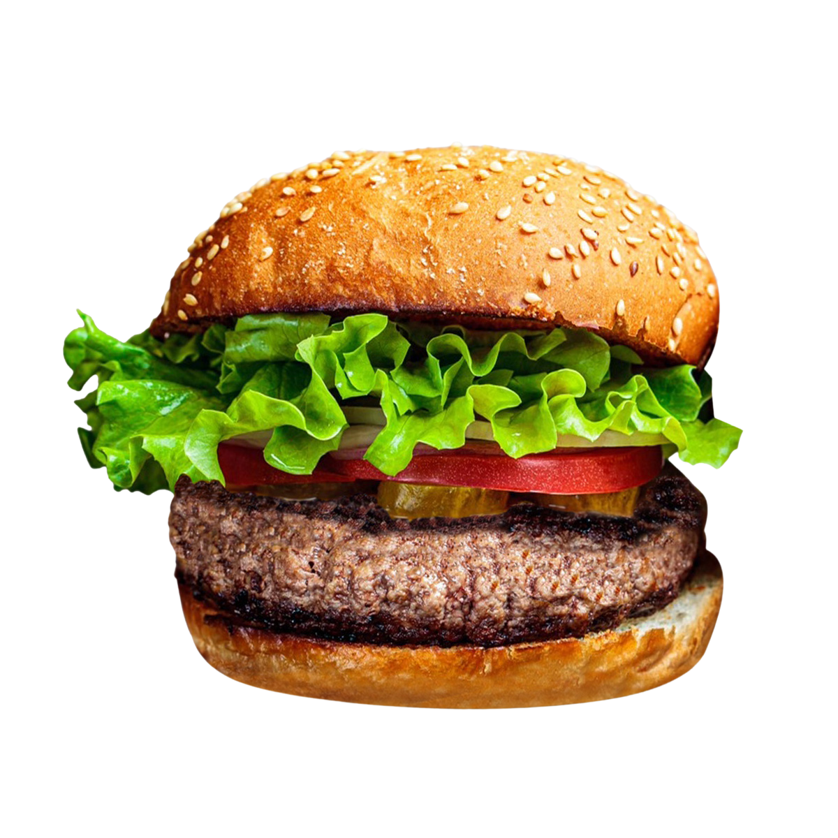 GI Burger Turkey Burger 250g Villa Market