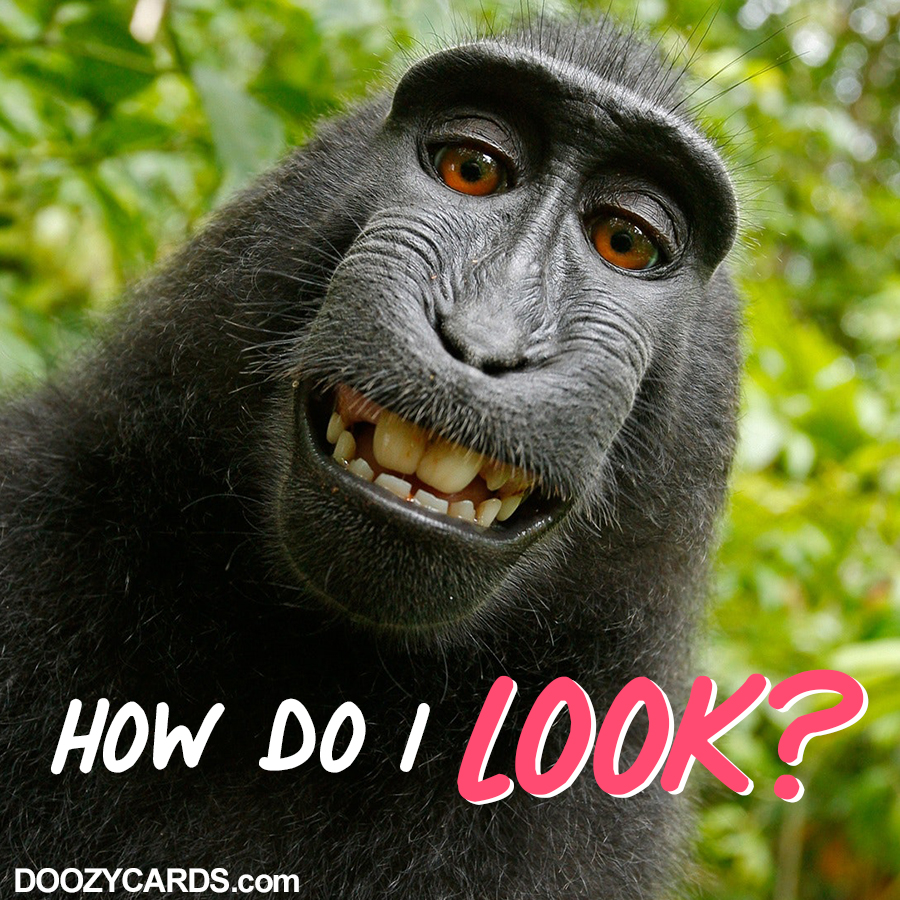 How Do I Look, View the Popular How Do I Look eCard