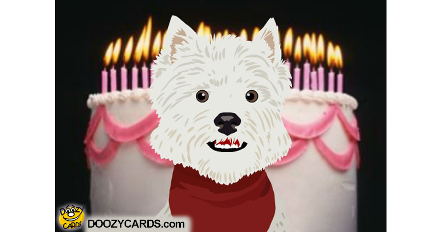 Talking Bday Terrier, View the Popular Talking Bday Terrier eCard
