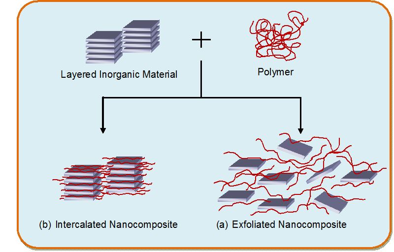 Annual congress on Emerging Nanotechnology in material science