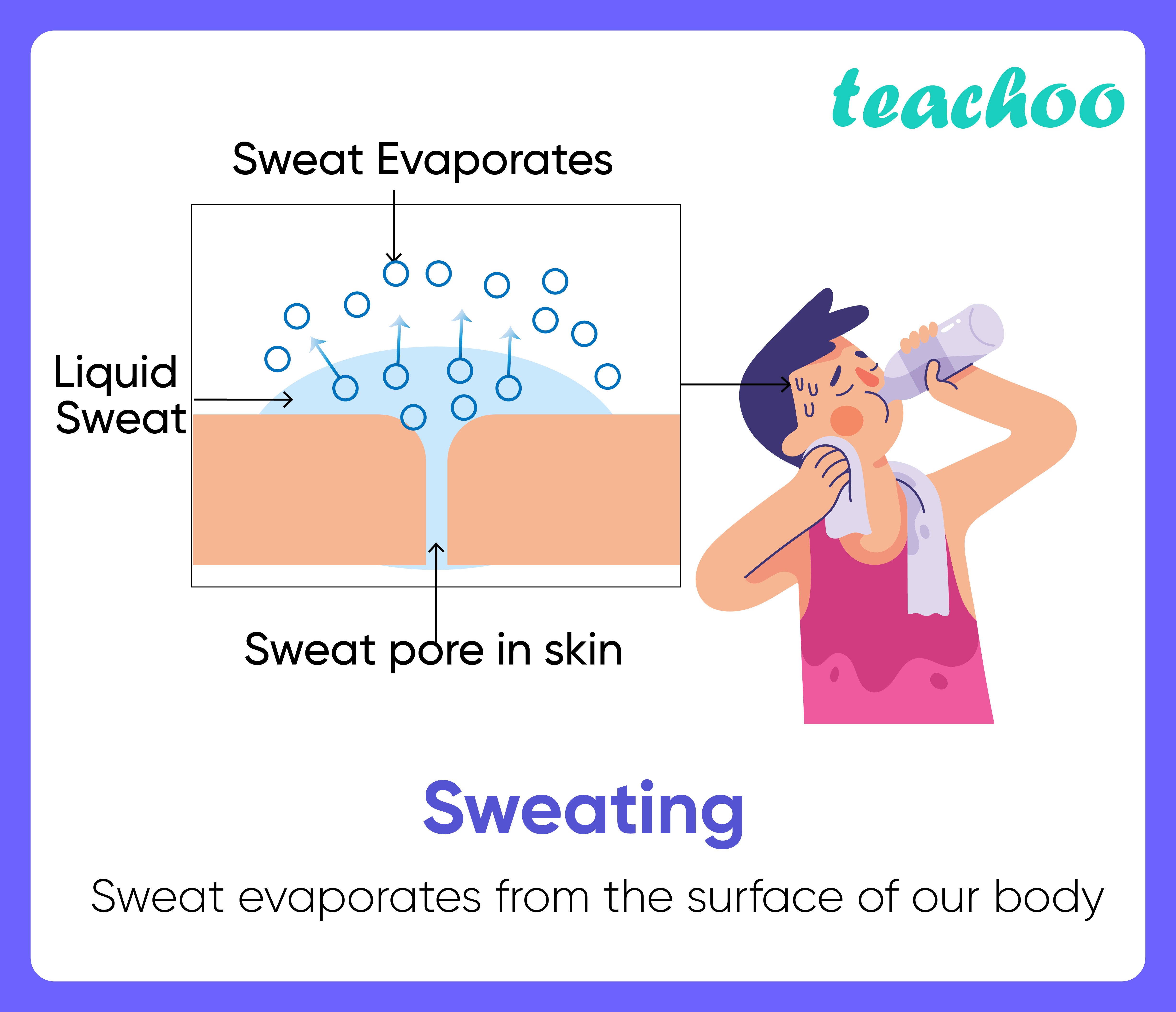 11+ Examples of Evaporation in our daily life (Explained!) Teachoo