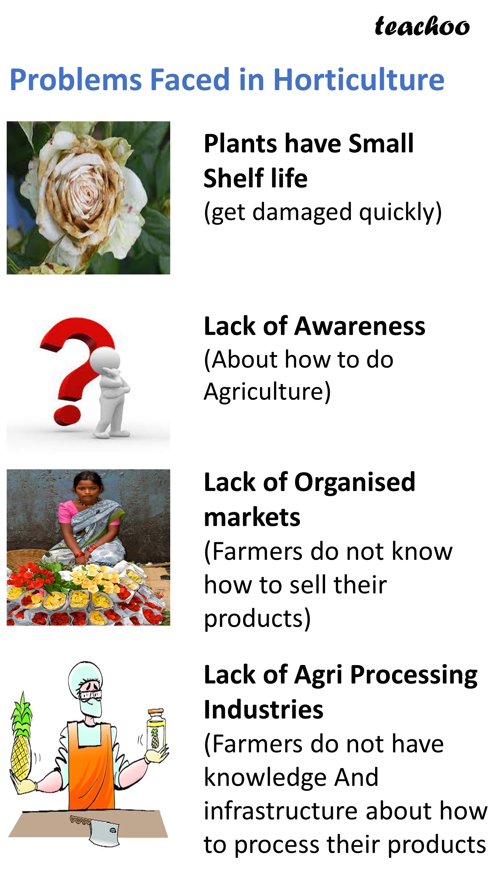 What is Horticulture? Advantages, Problems faced Economics Class