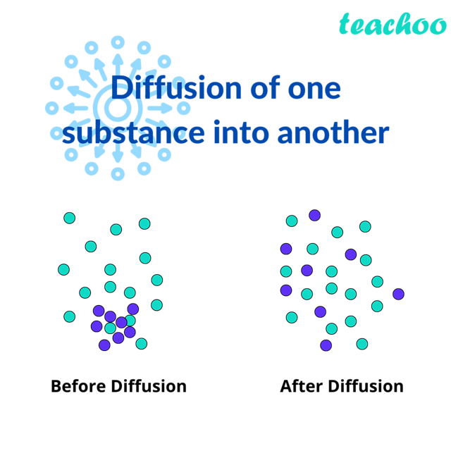 Diffusion in Solids, Liquids and Gases with Examples Teachoo