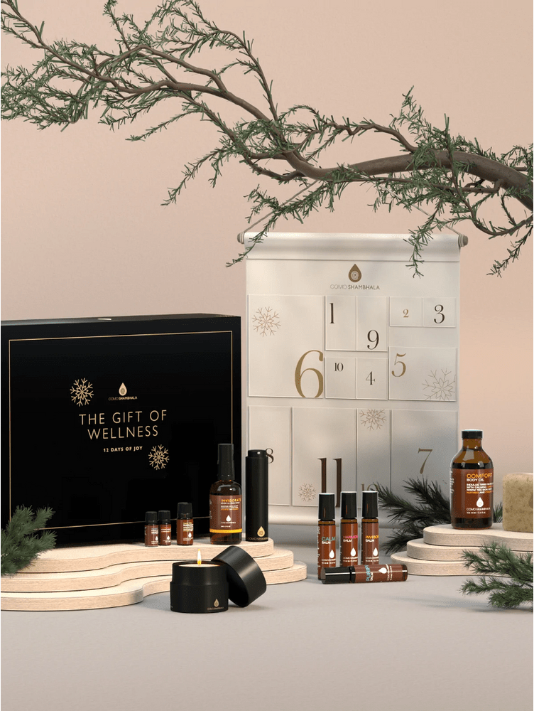 12Piece Christmas Gift Set