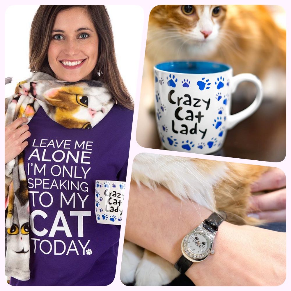 Top 10 Reasons You’re a Crazy Cat Lady The Animal Rescue