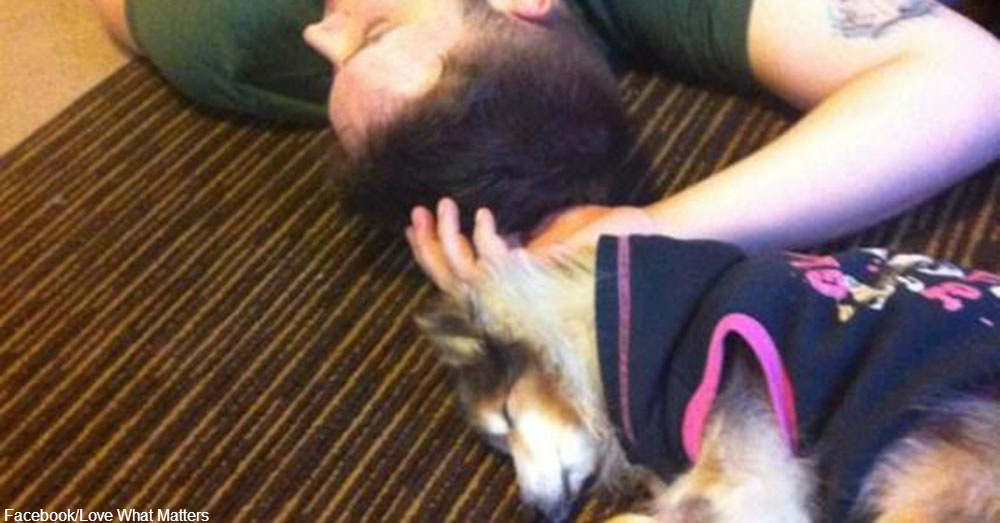 After Two Miscarriages, A Toothless, Deaf Dog Was About To Save This