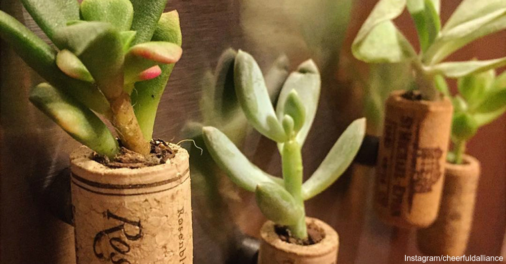 Perk Up the Garden With These Cute Cork Crafts The Humble Gardener