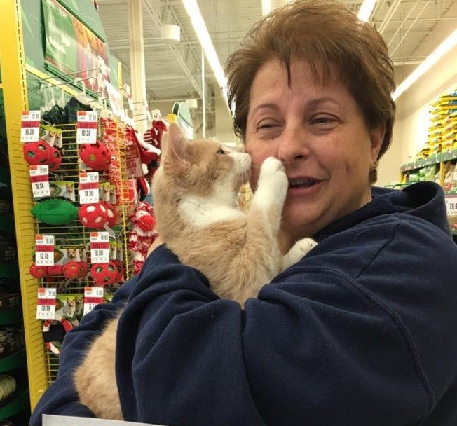 Cat Was Rescued After Being Thrown Out Of A Moving Car. Now He Can’t