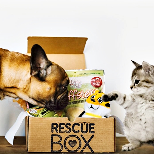 Help Animals and Pet Shelters with a free click!