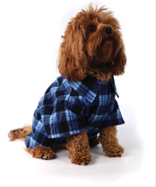 You And Your Dog Can Now Where Matching Flannel Shirts