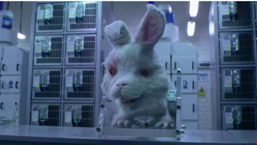 Humane Society International Releases Animated Short Film
