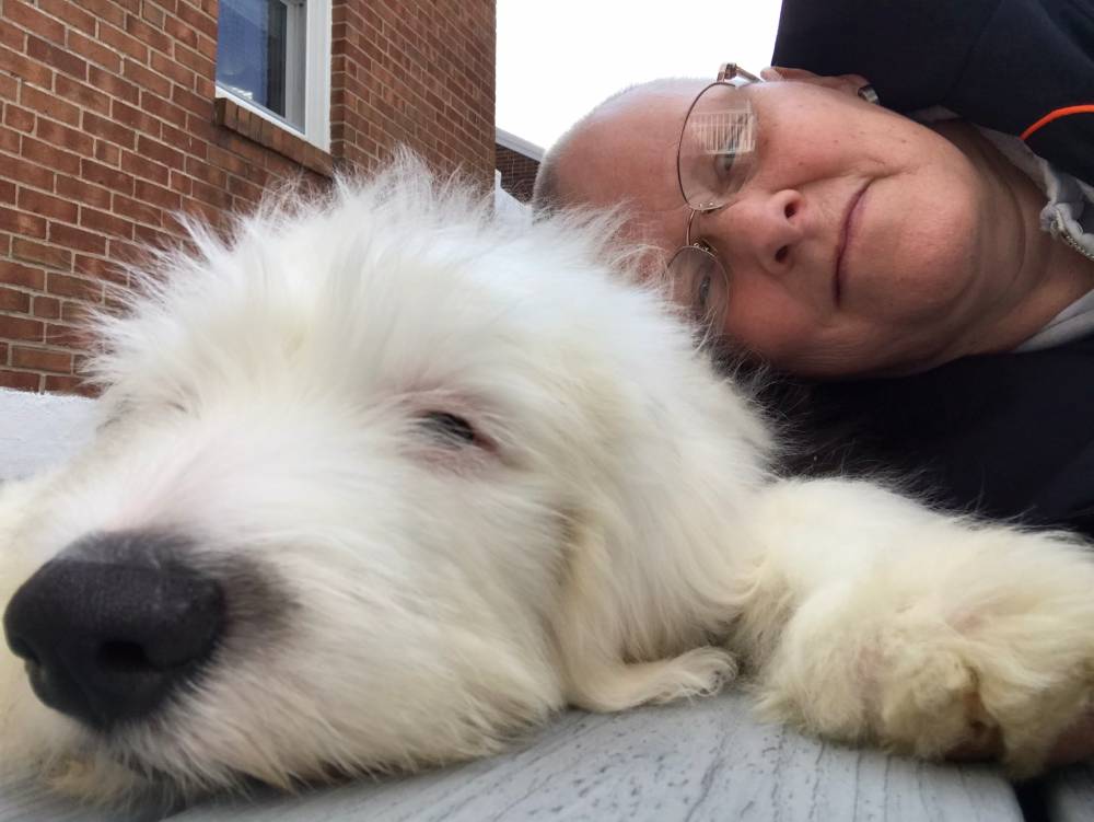 Puppy That Was Born Dead Therapy Dog for Cancer Patient
