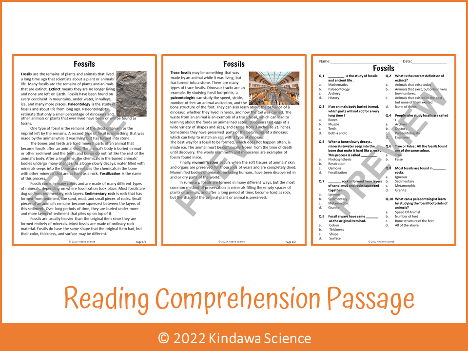 Fossils Reading Comprehension Passage and Questions PDF Teaching