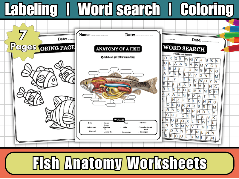 Label the Parts of a Fish Fish Anatomy Worksheet & Word search