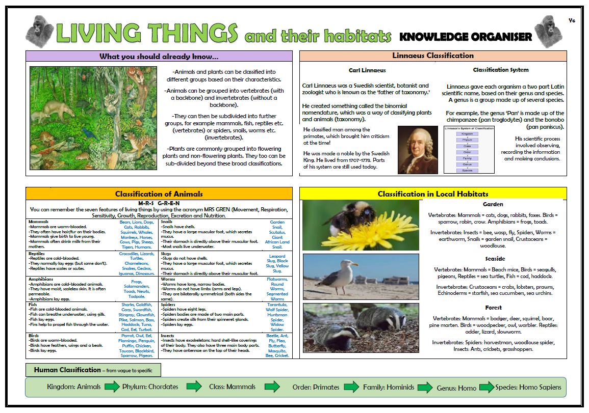 Year 6 Living Things and their Habitats Knowledge Organiser! Teaching