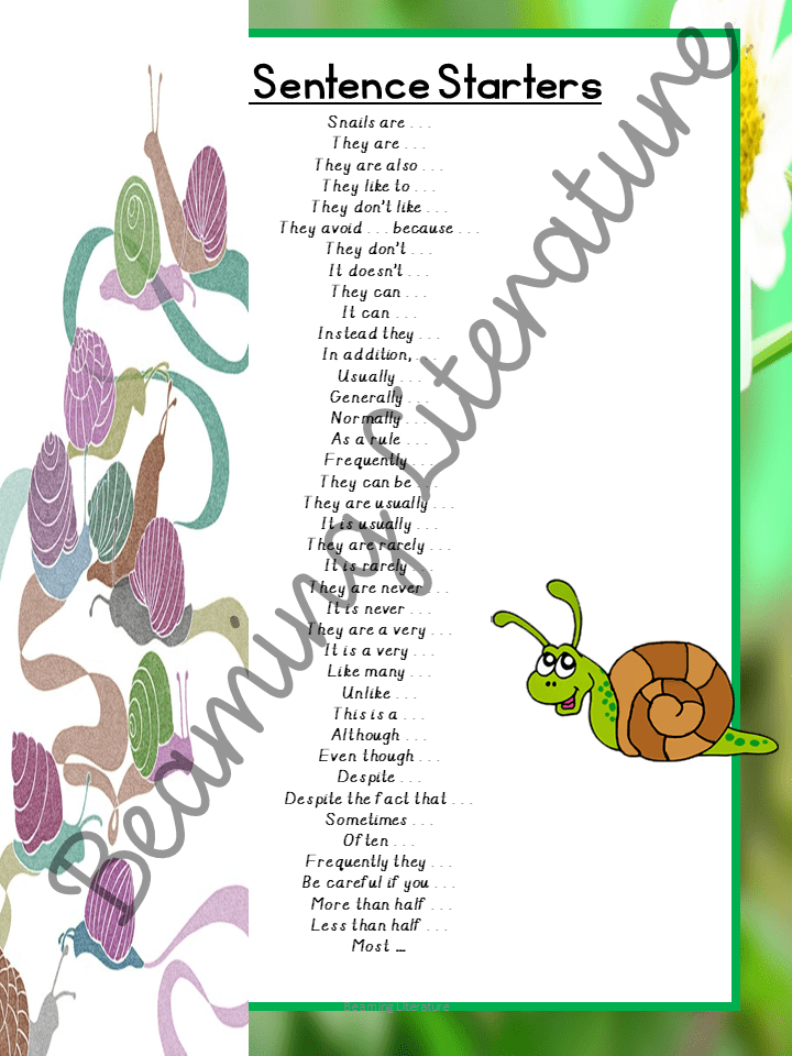 NonChronological Report/ Fact File on Snails Writing, Planning
