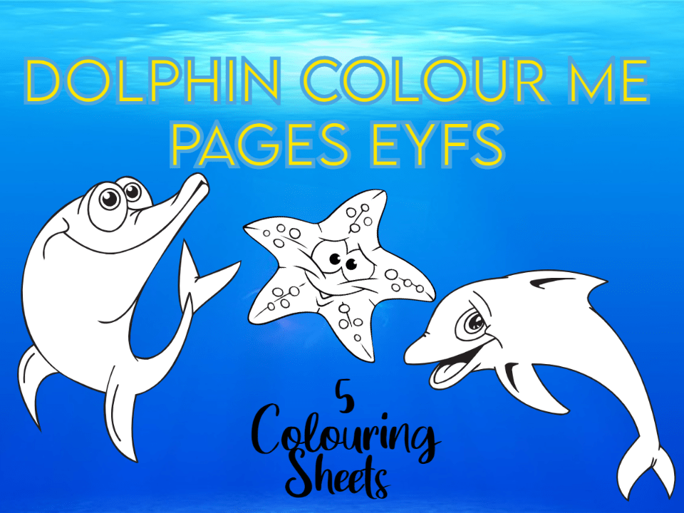 Dolphin Colour Me Pages EYFS Teaching Resources