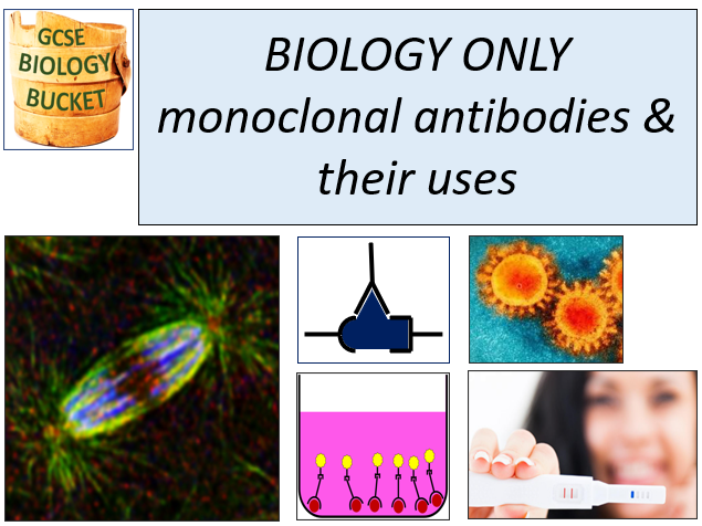 AQA GCSE Biology Monoclonal antibodies production & uses Teaching