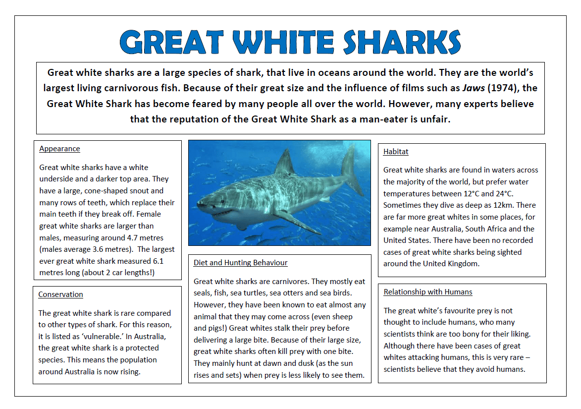 Great White Sharks NonFiction Text Whole Class Reading Session