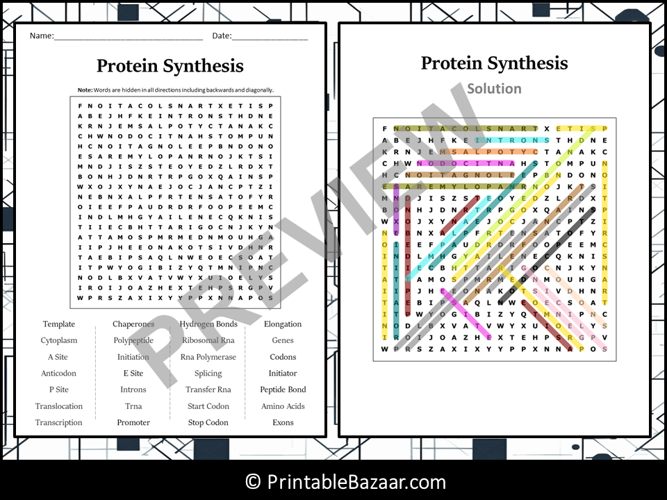 Protein Synthesis Word Search Puzzle Worksheet Activity | Teaching