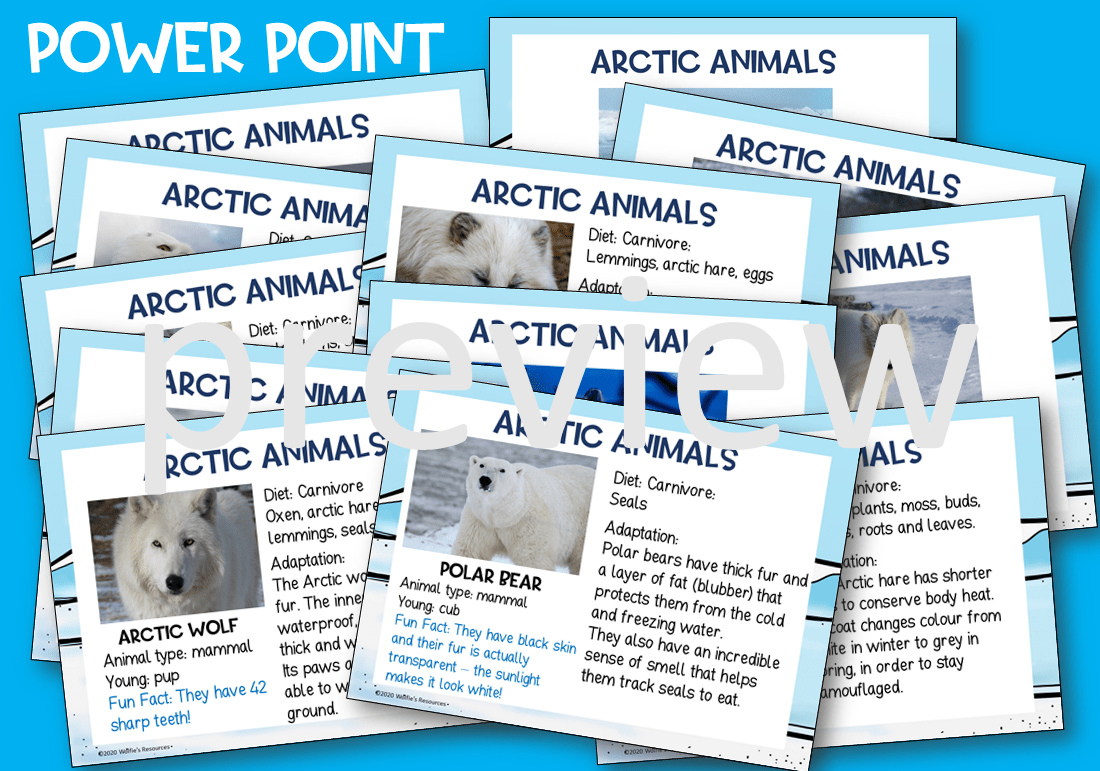 Arctic Teaching Resources