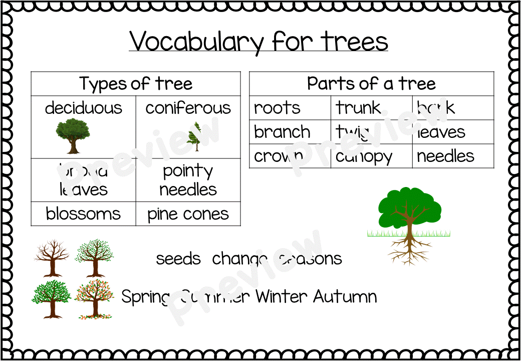KS1 trees writing for science Teaching Resources