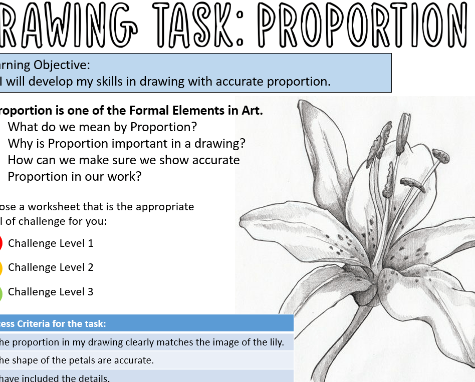 KS3 Drawing Lesson Resources Proportion Natural Forms (Formal