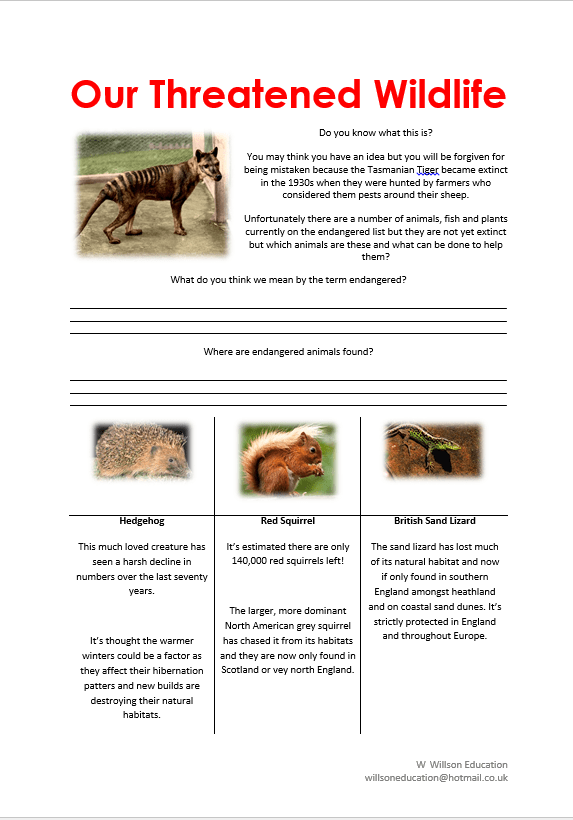 Sentence openers analyitical & essay writing by WillsonEducation