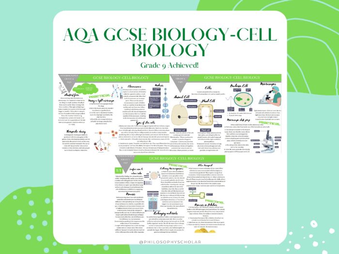GCSE BIOLOGY AQA revision notes Cell BiologyGrade 9 revision notes