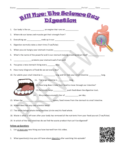 Bill Nye the Science Guy - DIGESTION (Video Guide) | Teaching Resources
