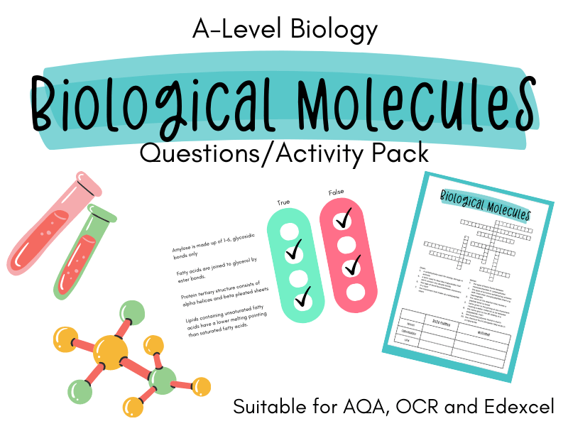 ALevel Biology Biological Molecules Activity Pack WITH ANSWERS Teaching Resources