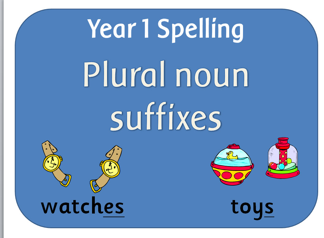 SPaG Year 1 Spelling Adding s and es to words (plural of nouns and