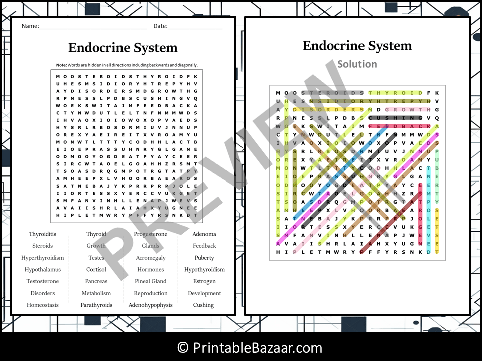 Endocrine System Word Search Puzzle Worksheet Activity | Teaching Resources