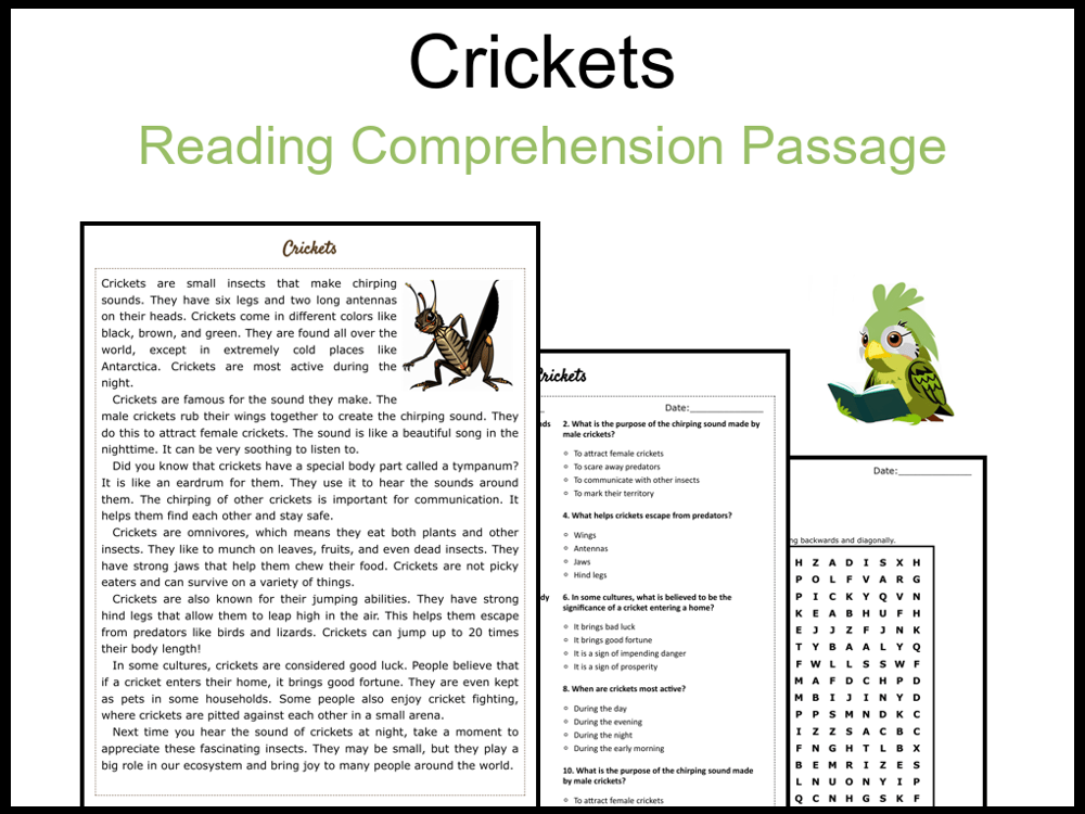 Crickets Reading Comprehension and Word Search Teaching Resources