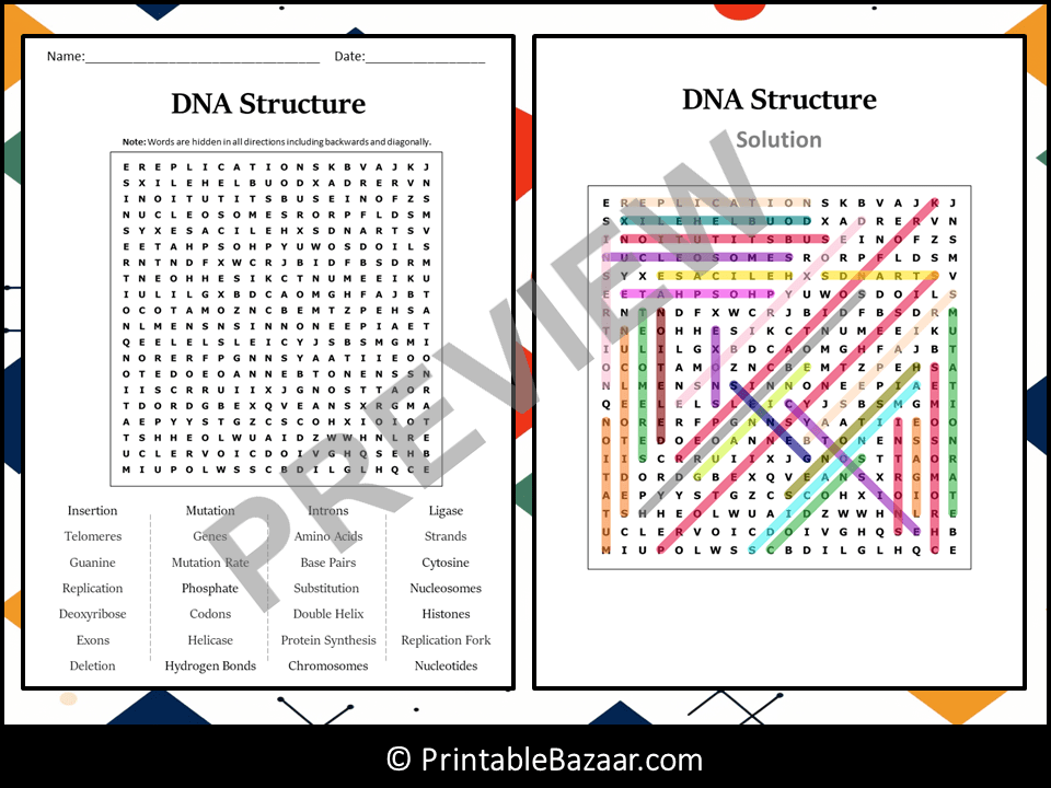 DNA Structure Word Search Puzzle Worksheet Activity | Teaching Resources