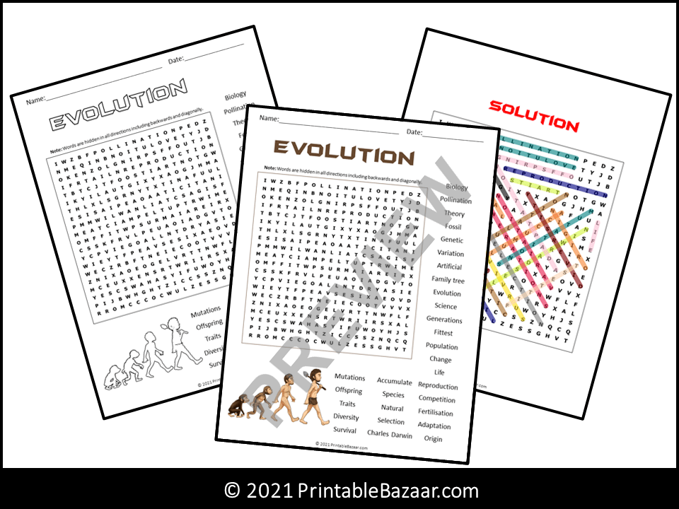 Evolution Word Search Puzzle | Teaching Resources