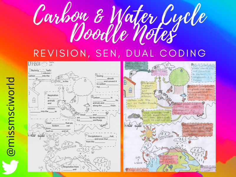 Carbon & Water Cycle Science Doodle Notes Teaching Resources