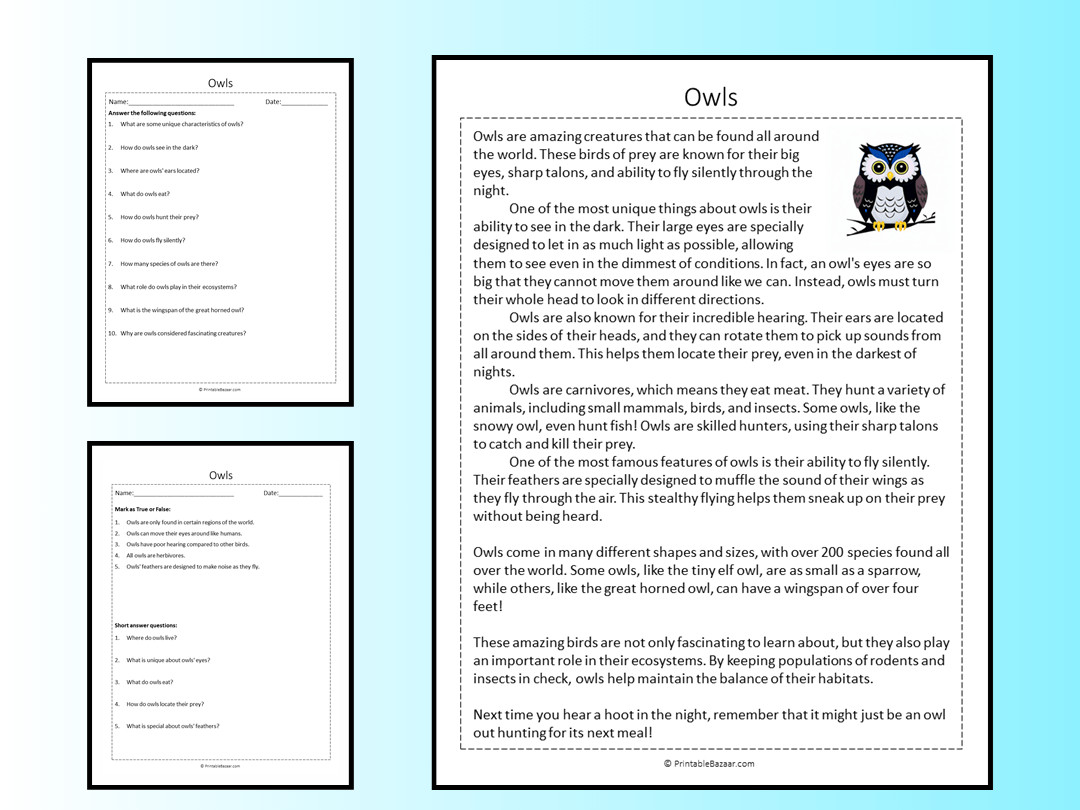 Owls Reading Comprehension Passage Printable Worksheet Teaching Resources