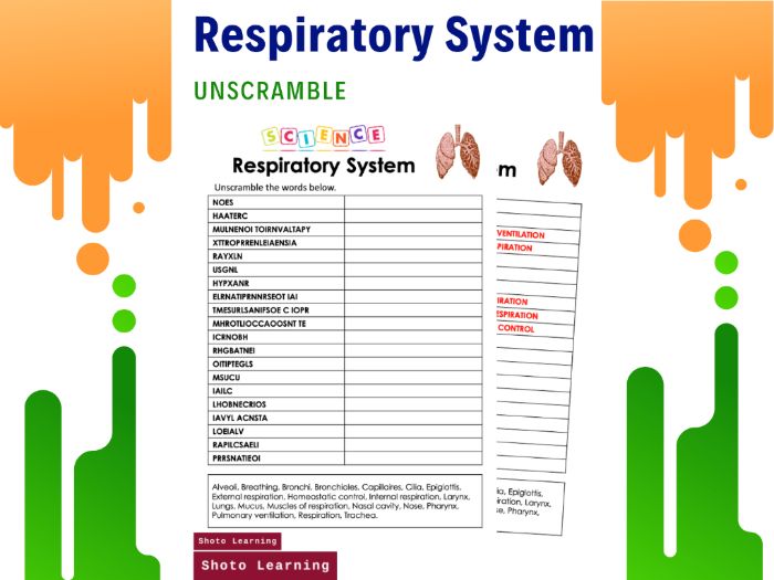 RESPIRATORY SYSTEM SCIENCE ACTIVITY SCRAMBLE WORDS VOCABULARY WORD WORKSHEETS Teaching Resources