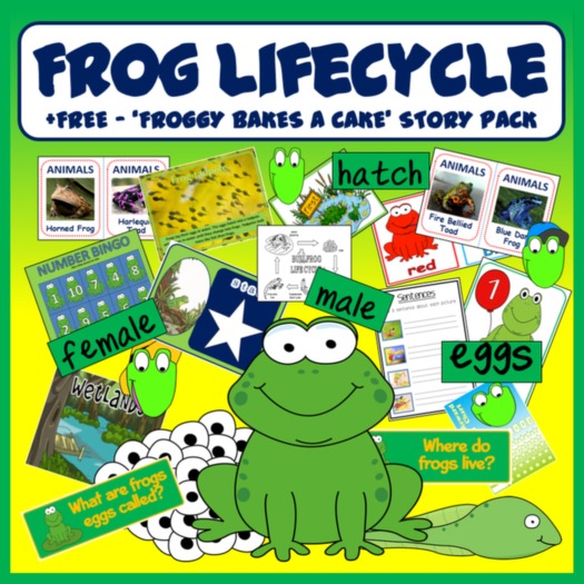 FROG LIFECYCLE SCIENCE RESOURCES DISPLAY EARLY YEARS KS12 SPRING