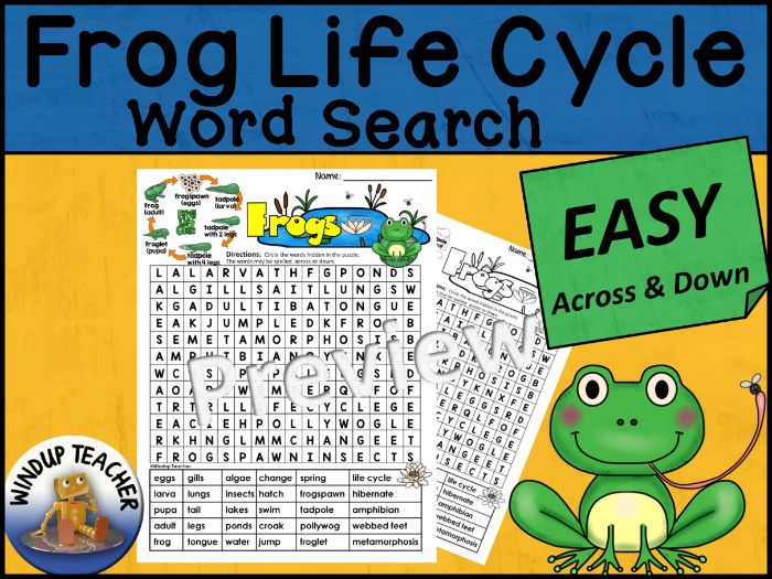 Frog Life Cycle Word Search EASY Puzzle Teaching Resources